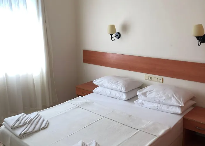 Melissa Garden 4* シダ