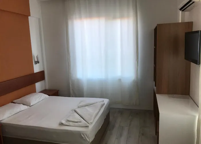 Melissa Garden シダ