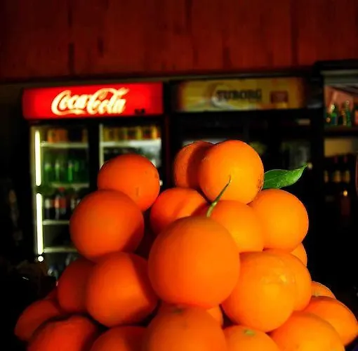 Melissa Garden Сиде